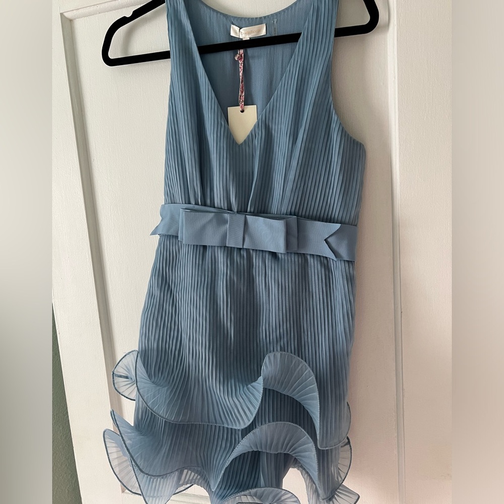 COPY - Loveshackfancy fancy size 4 ruffled dress